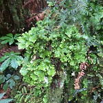 20190127_131141