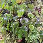 20190127_131212