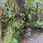 20190127_125025