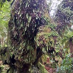 20190127_125137