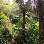 20190127_125229