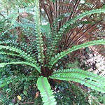 20190127_125325