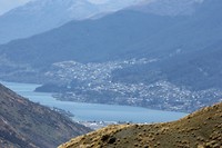foxqueentown064