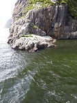 IMG-20190131-WA0005
