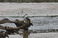 IMG_6994 - kopie
