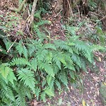20190203_112839