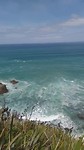 Buffet point catlins