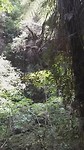 20190203_112540