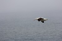 wildlifetour 012