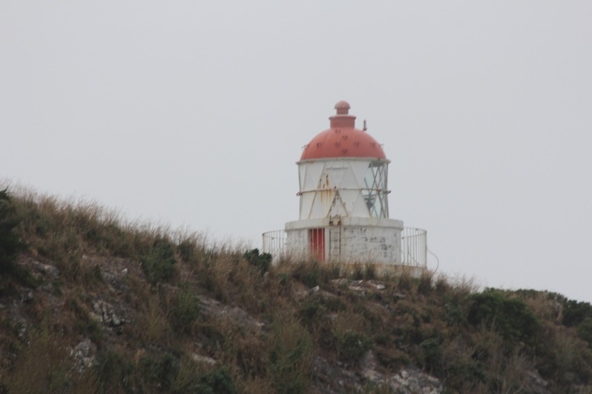 wildlifetour 010