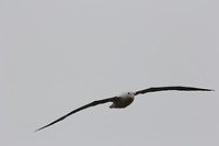 wildlifetour 015
