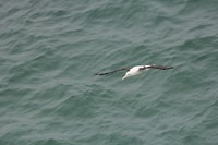 wildlifetour 019