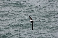 wildlifetour 022