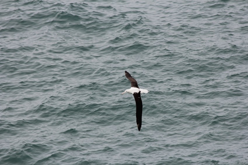 wildlifetour 022
