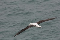 wildlifetour 033