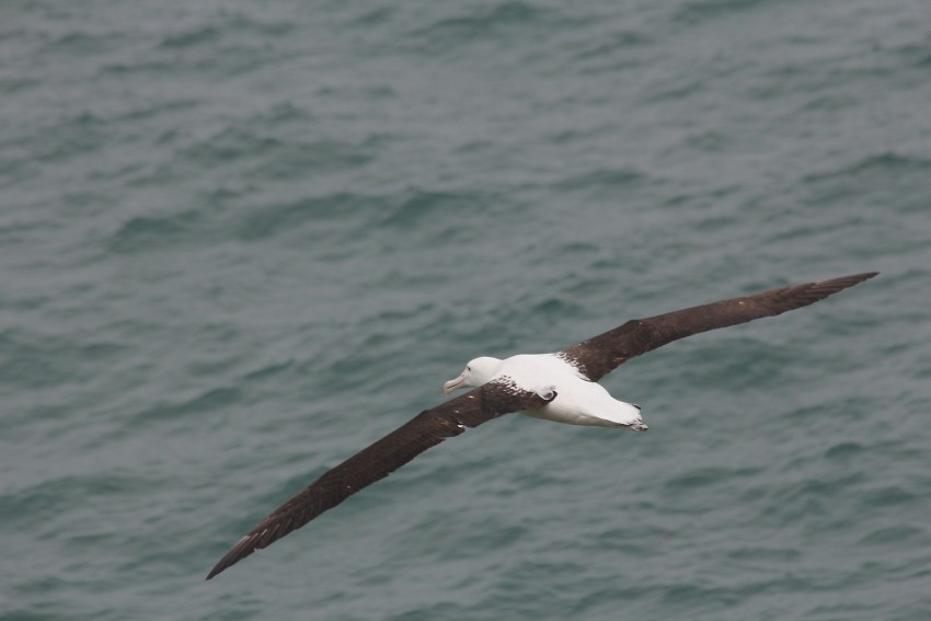 wildlifetour 033