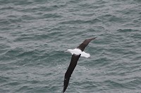 wildlifetour 045