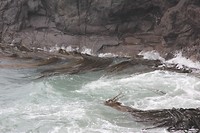 wildlifetour 057