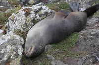 wildlifetour 068