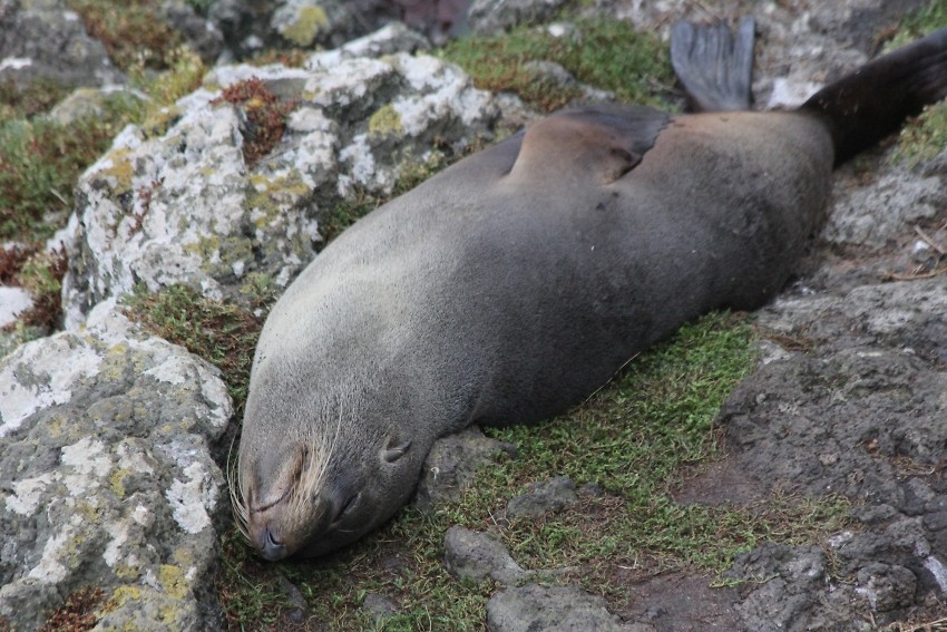 wildlifetour 068