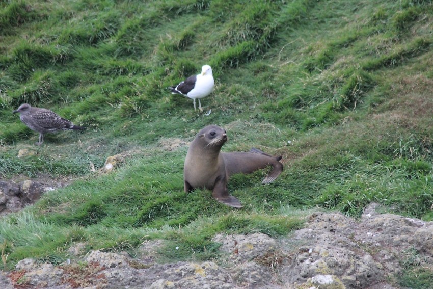 wildlifetour 074