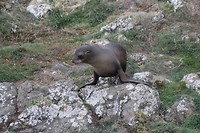 wildlifetour 076