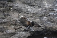 wildlifetour 081