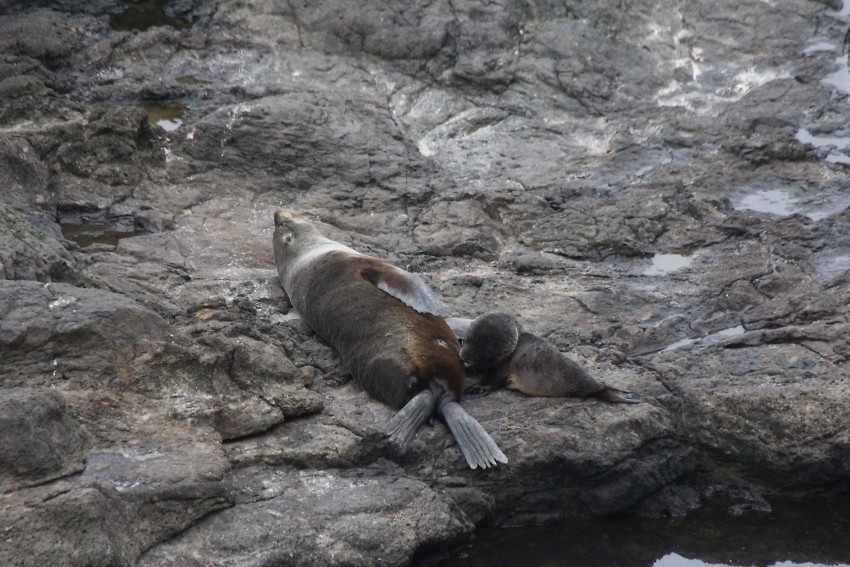 wildlifetour 081