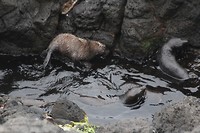 wildlifetour 088