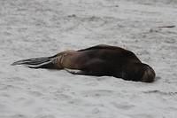 wildlifetour 096