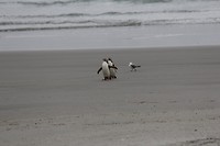 wildlifetour 112
