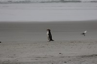 wildlifetour 120