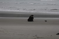 wildlifetour 126