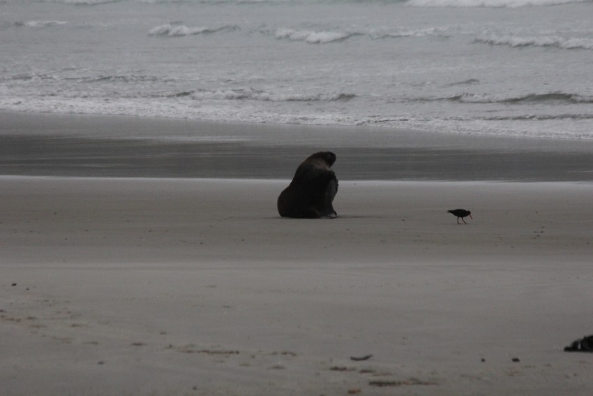 wildlifetour 126