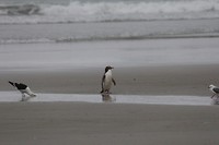 wildlifetour 132