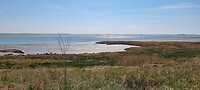Westerschelde bij Rilland