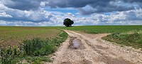 Onderweg...