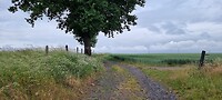 Mijn pad...