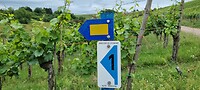 GR5 markering in Luxemburg ( bovenste )