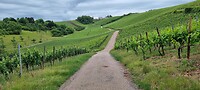 Heerlijk lopen hier...