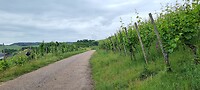 Net buiten Remich
