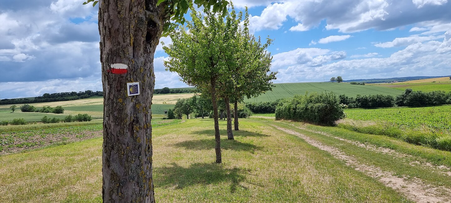 Relaxt wandelen hier...