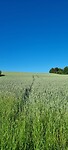 Onderweg....