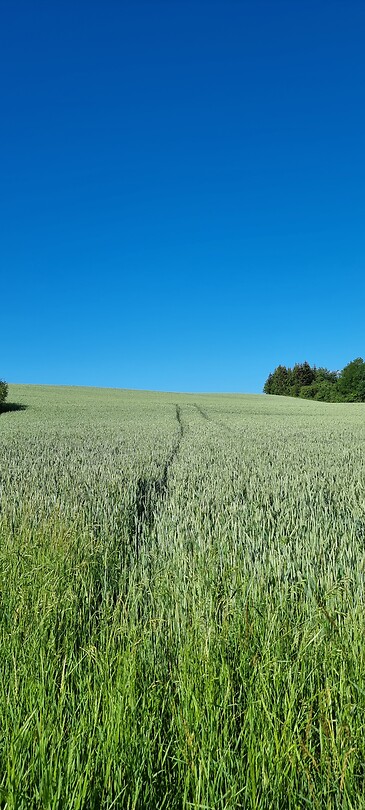 Onderweg....