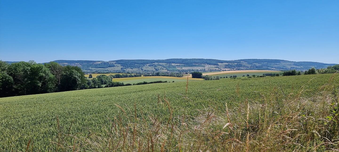 Prény