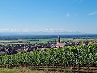 Kintzheim....
