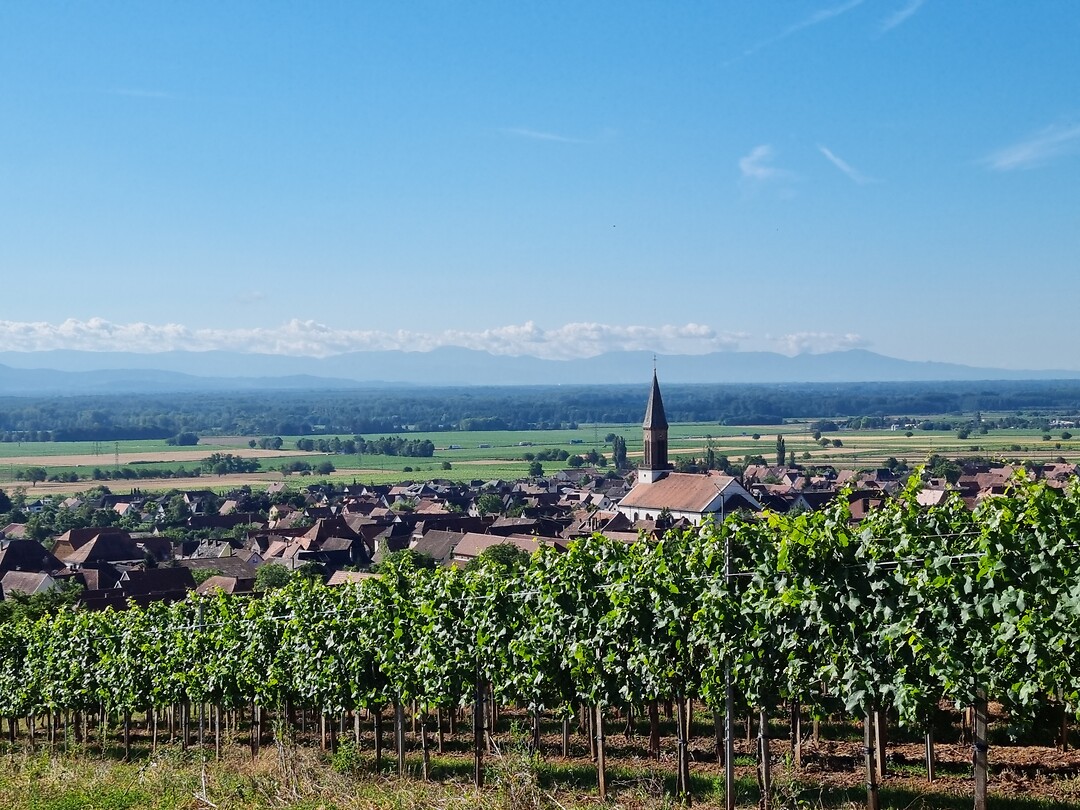 Kintzheim....