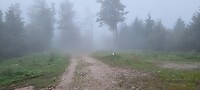 Lopen in de wolken....