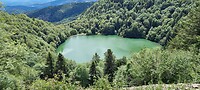 Lac...uhh, naam kwijt