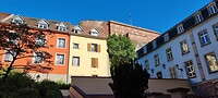 Belfort